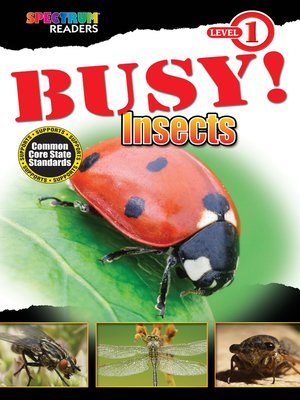 cover image of BUSY! Insects